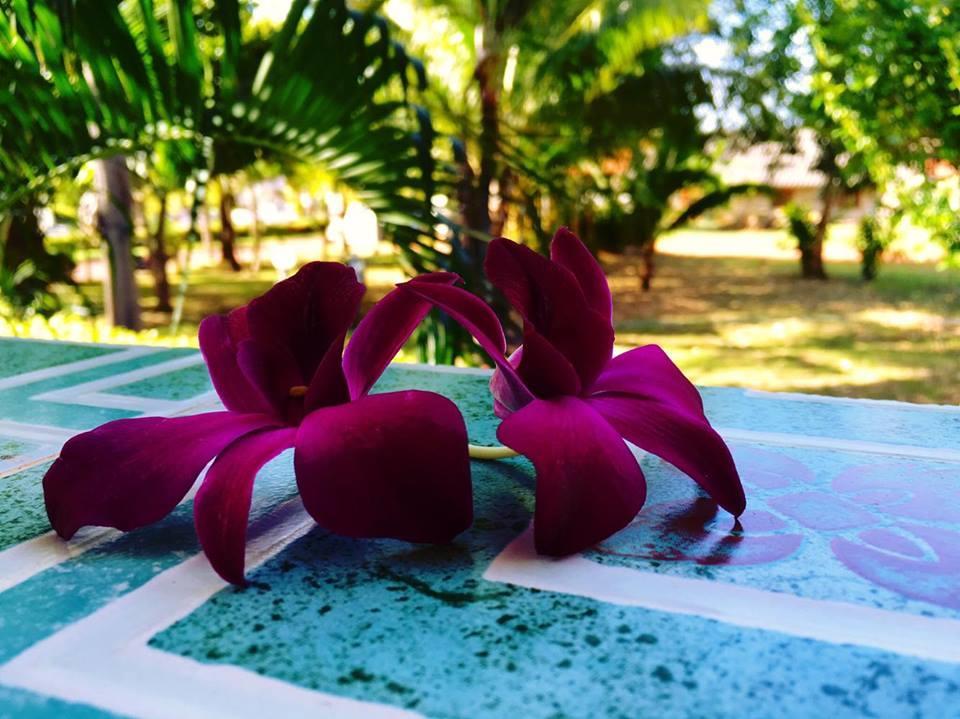 Lanta Queen Resort Ko Lanta Eksteriør billede